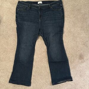 Lane Bryant High-Rise Boot Cut Jeans, size 24P, EUC